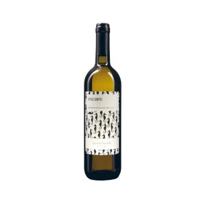 VERDICCHIO CLASSICO DEI CASTELLI DI JESI